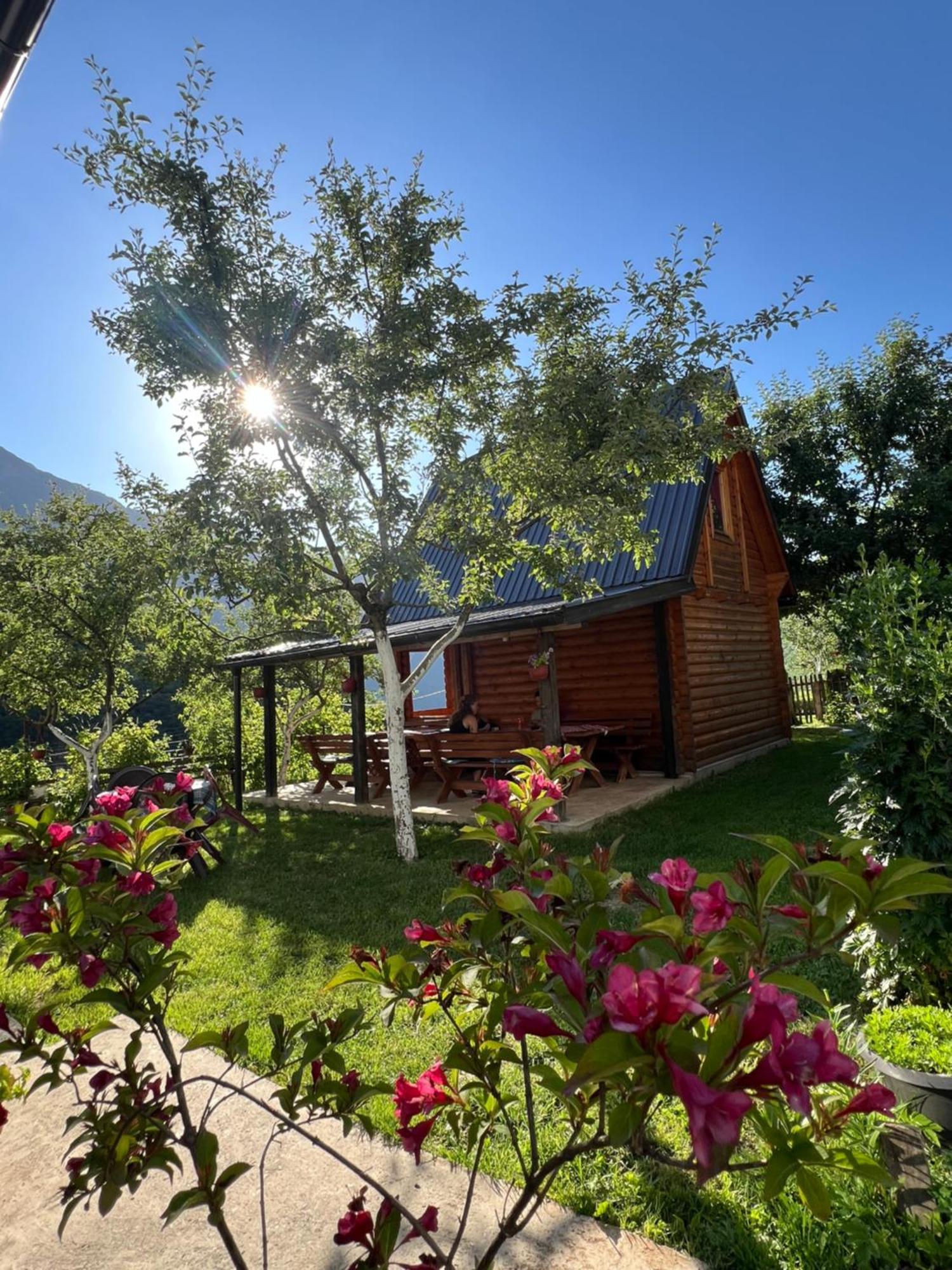 Guest House Kollata Vuthaj Екстериор снимка